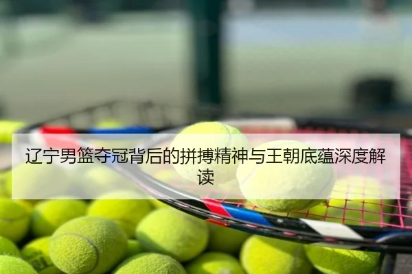 辽宁男篮夺冠背后的拼搏精神与王朝底蕴深度解读